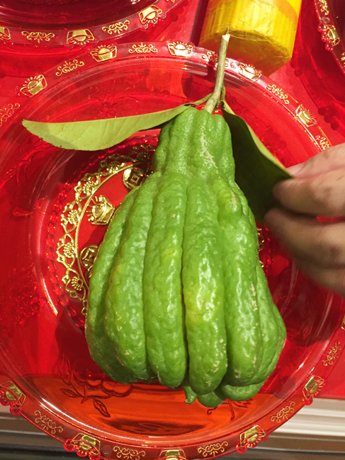 Buddha Hand Fruit
