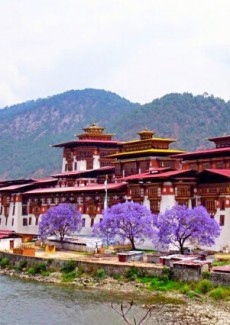 Bhutan Dzong scenery 布丹 風水師父玳瑚師父 Singapore Feng Shui Master Dai Hu Review