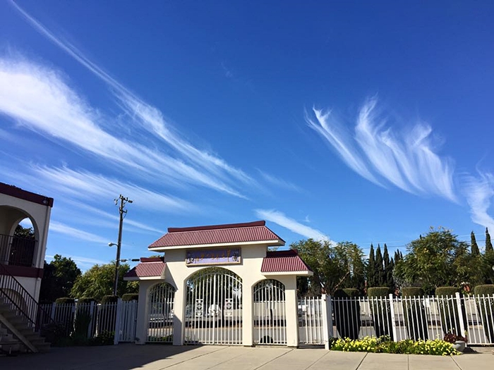 Letter Clouds